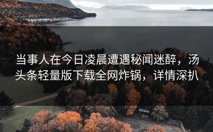 当事人在今日凌晨遭遇秘闻迷醉，汤头条轻量版下载全网炸锅，详情深扒