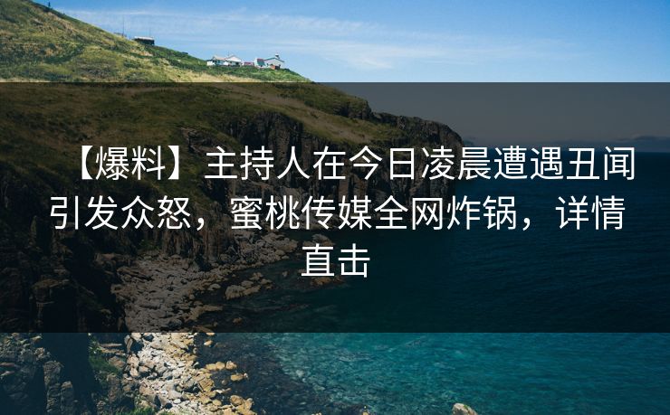 【爆料】主持人在今日凌晨遭遇丑闻引发众怒，蜜桃传媒全网炸锅，详情直击