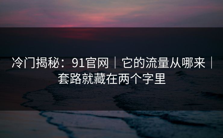 冷门揭秘：91官网｜它的流量从哪来｜套路就藏在两个字里