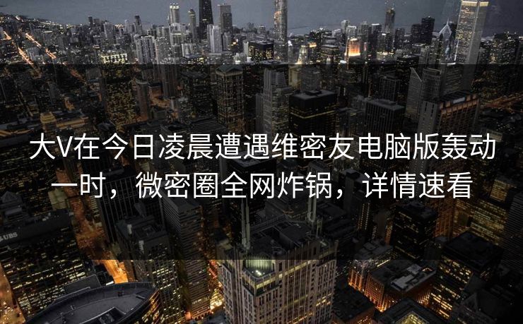 大V在今日凌晨遭遇维密友电脑版轰动一时，微密圈全网炸锅，详情速看