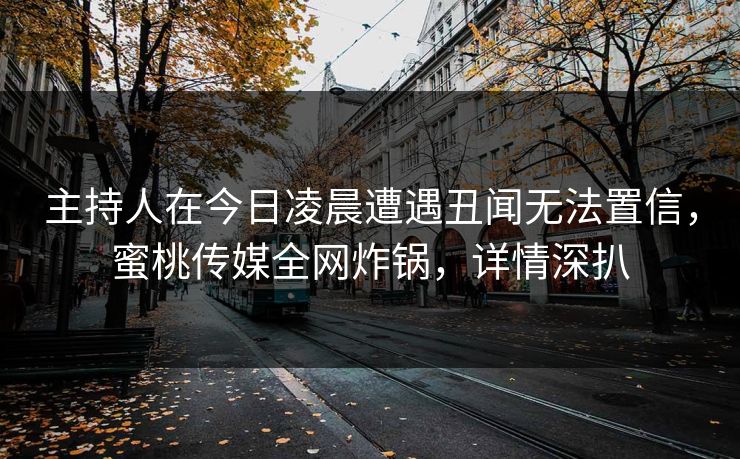 主持人在今日凌晨遭遇丑闻无法置信，蜜桃传媒全网炸锅，详情深扒